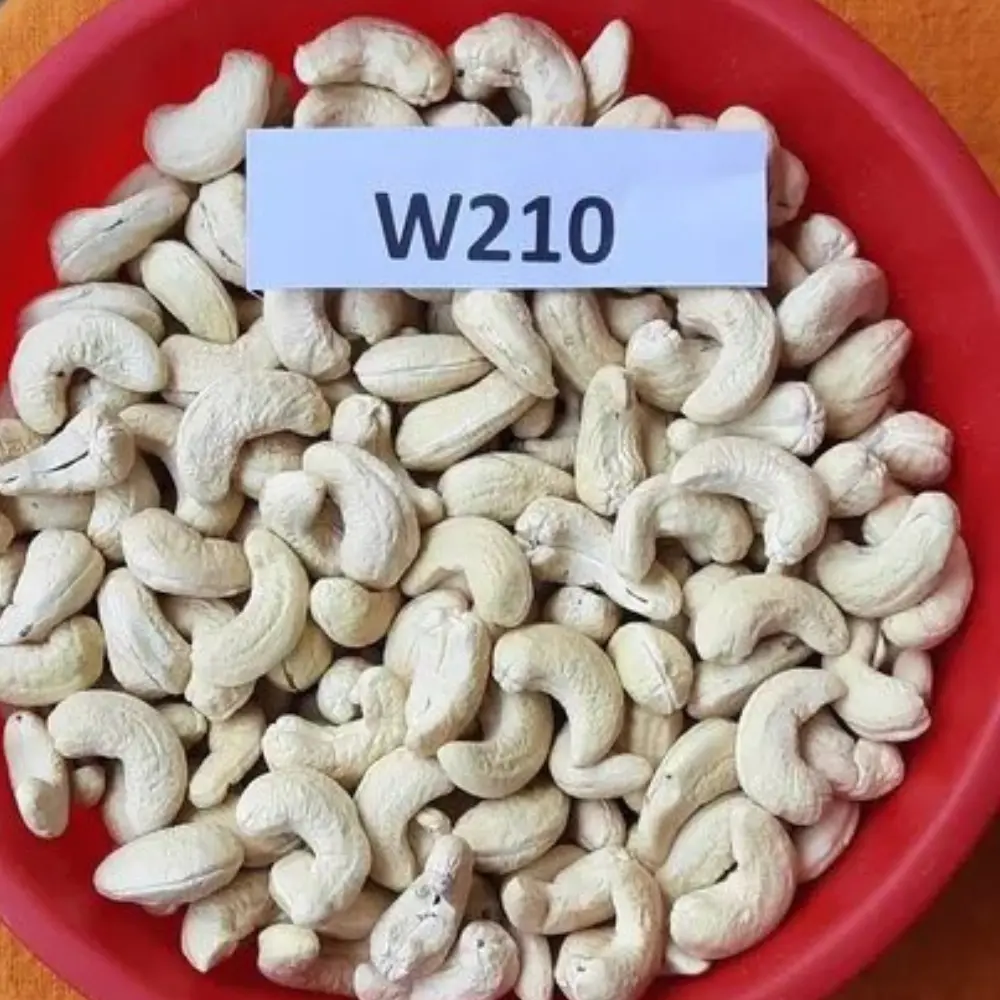 Cashew kernels W210 — Tanzania export
